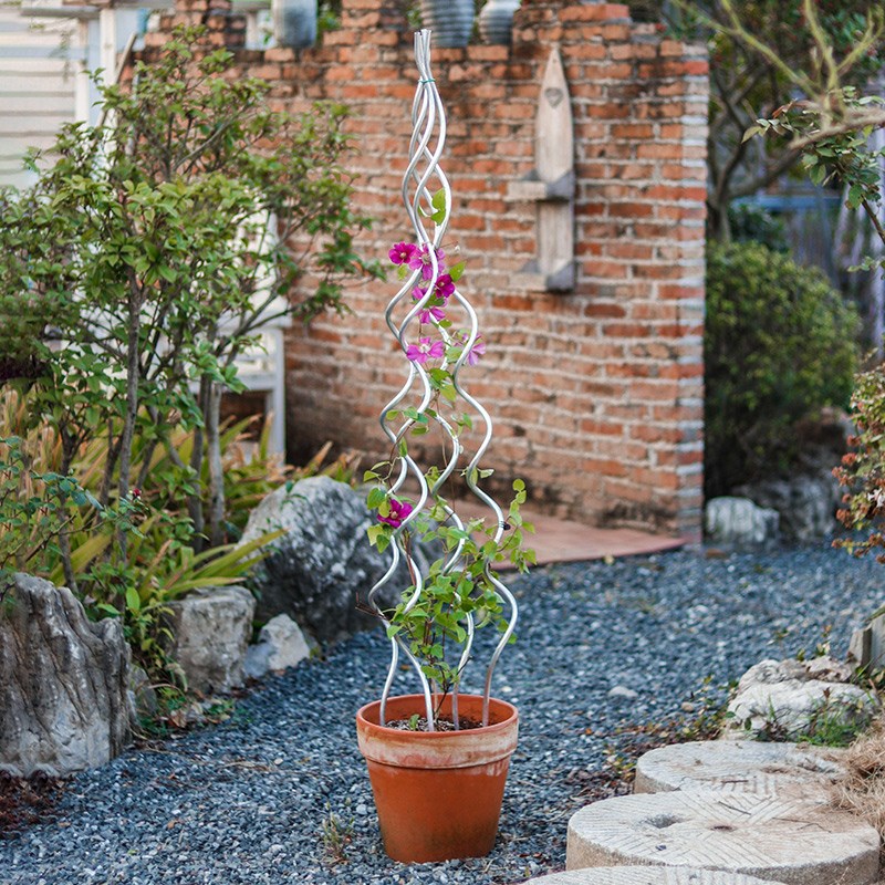 铁线莲爬藤架月季花架爬藤支架植物攀爬架花盆S型支撑杆螺旋支柱