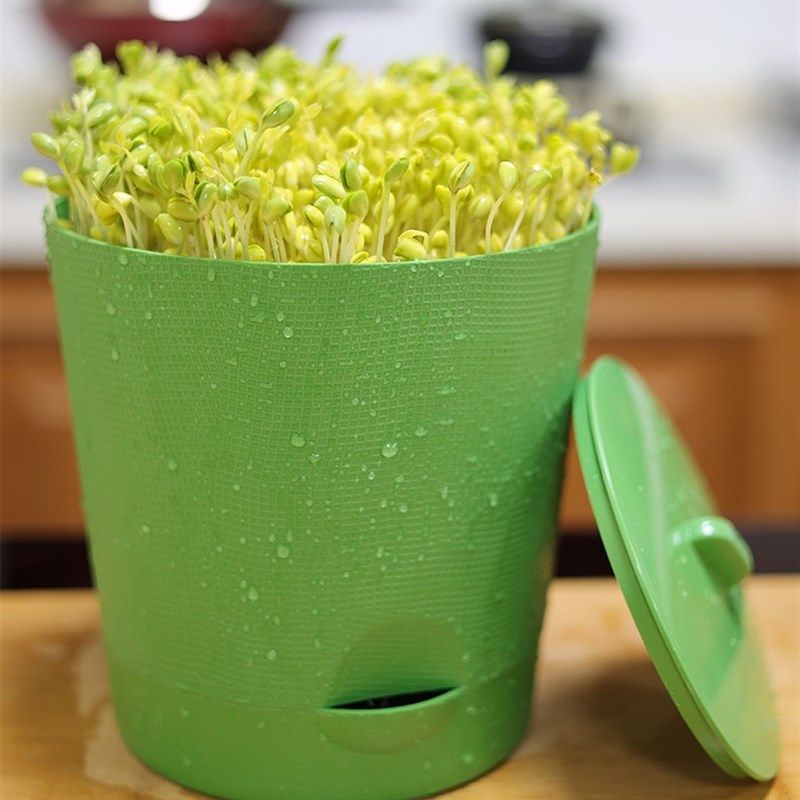 发豆芽神器绿豆黄豆生发芽专用盆工具桶盆罐家用种V植塑料盆育苗