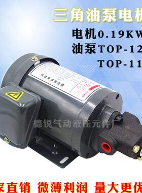 TOP-13A三角油泵 1/4HP-4P 0.19KW润滑电机 三角泵13A TOP-12A