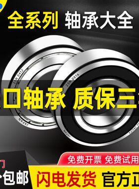 进口深沟球轴承16005 16006 16007薄壁16008 16009 16010Z RS/P4