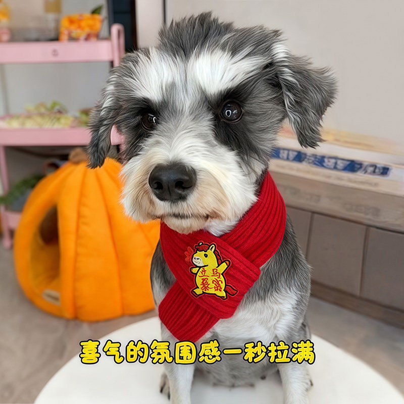 猫咪新年中国风围巾宠物围脖红色保暖小狗围巾喜庆可爱配饰品饰装,宠物/宠物食品及用品,围巾/口水巾,淘宝优惠券,粉丝福利购,淘宝优惠卷