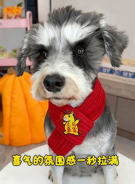 猫咪新年中国风围巾宠物围脖红色保暖小狗围巾喜庆可爱配饰品饰装