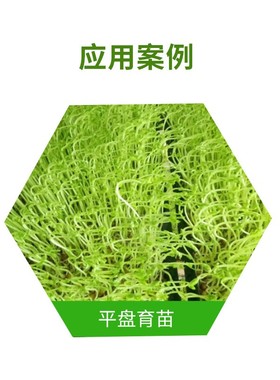 黑色PS芽苗菜盘长方形育苗盘叶A插用加厚平盘多肉小黑方塑料盆浸
