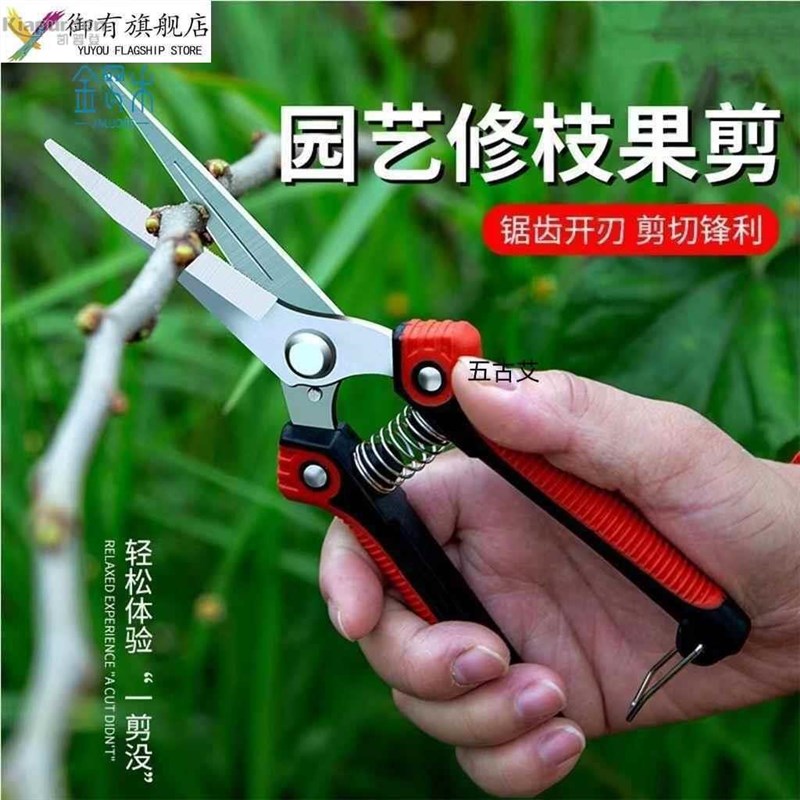 不锈钢省力修枝剪稀果剪葡萄剪采摘花椒火龙果蔬菜多功能园艺剪刀