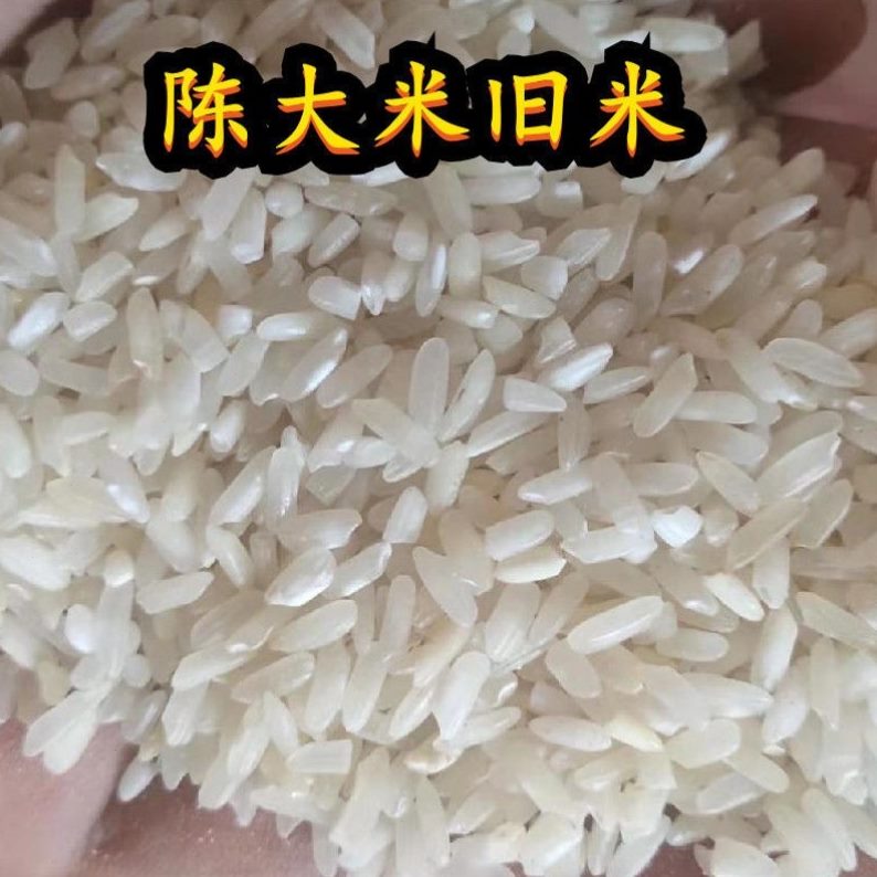 碎斤低价钓鱼米米斤喂大米碎饵陈鸭便宜米狗喂20低价米散装10鸡米