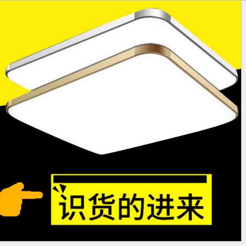 吸顶灯 LED 亚克力 客厅灯