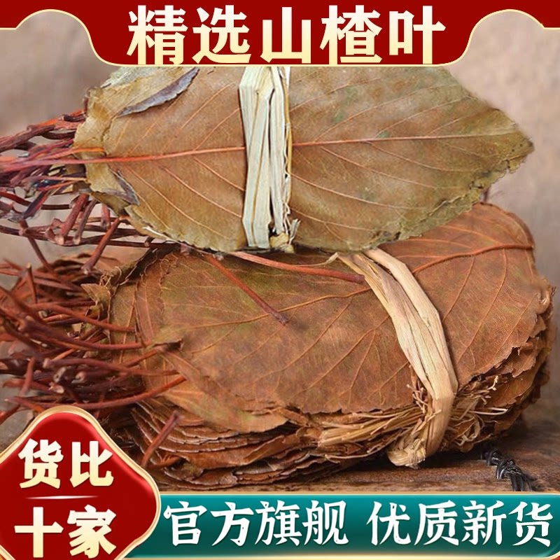 正宗优质山楂叶茶新鲜干山楂叶中药材泡茶水山渣叶片的功效官方w