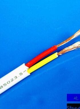 特惠白色2芯电源线 2芯护套线 RVV 2X1平方 电源线  白色软护套线