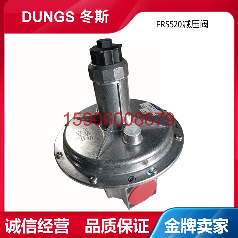 冬斯DUNGS燃气减压阀 FRS520 FRS515调压阀FRS5065 FTRS510 RS507