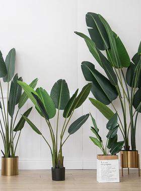 假植物旅人蕉盆栽仿真植物绿植盆景skybird artificial plant