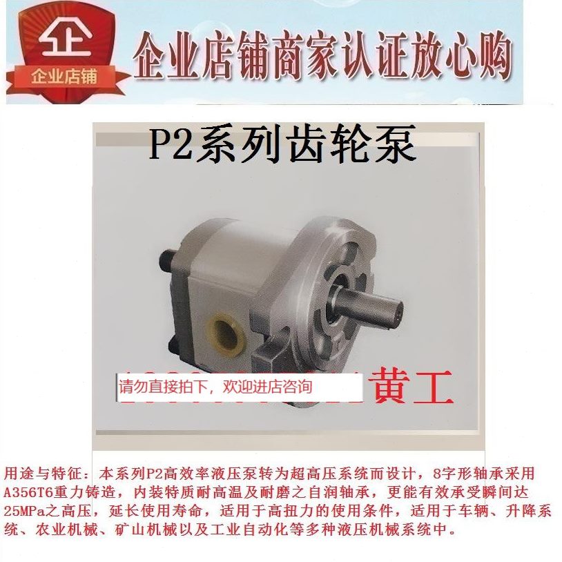 01D4P224RP0216RPP1D P212 PRP4RP0齿轮泵D40216 P21D