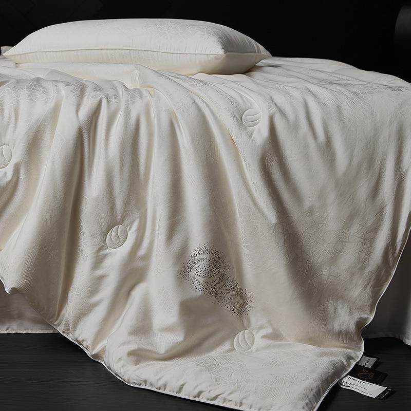 A类 长绒棉蚕丝加厚被芯单双人冬被春秋被夏被四季通用蓬松被子