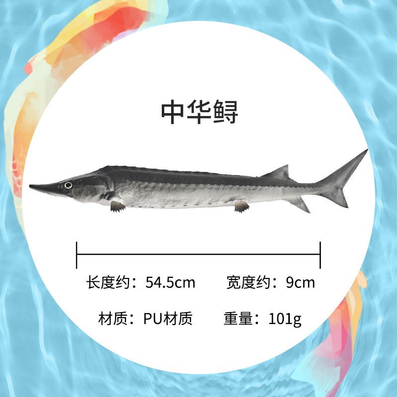 仿真红鲤鱼鲫鱼金龙鱼鱼玩具桂花鱼海鲜馆饭店装饰道具玩具