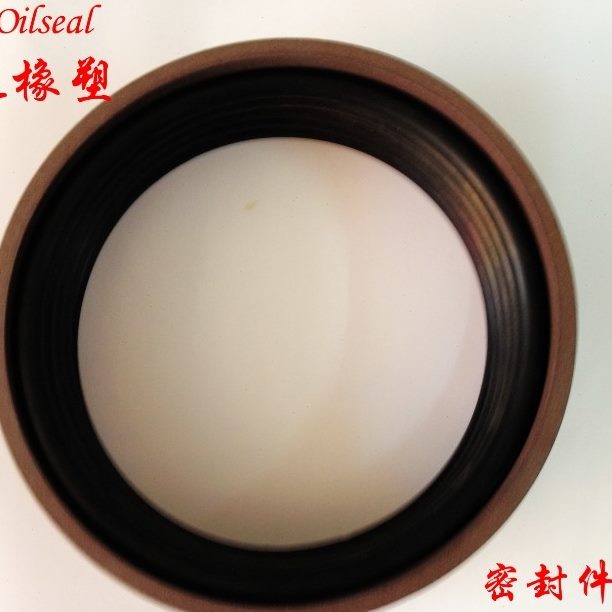 ST 圈孔用50553040/05//用5200P48 /10*0G5/0格/D49活塞85.莱/1 /