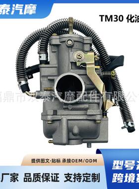 适用TM30化油器180-300cc 2/4冲程DT200WR DT200S RZ250
