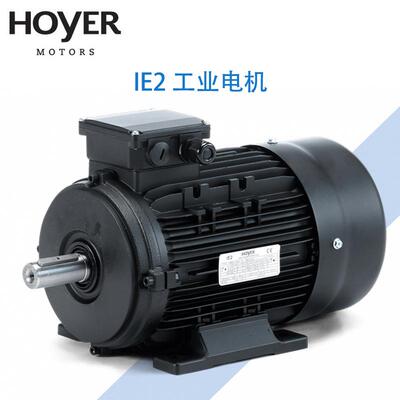HOYER电机/丹麦霍尔三相异步电动机/工业/船用HMA2/HMC2/铝壳铸铁