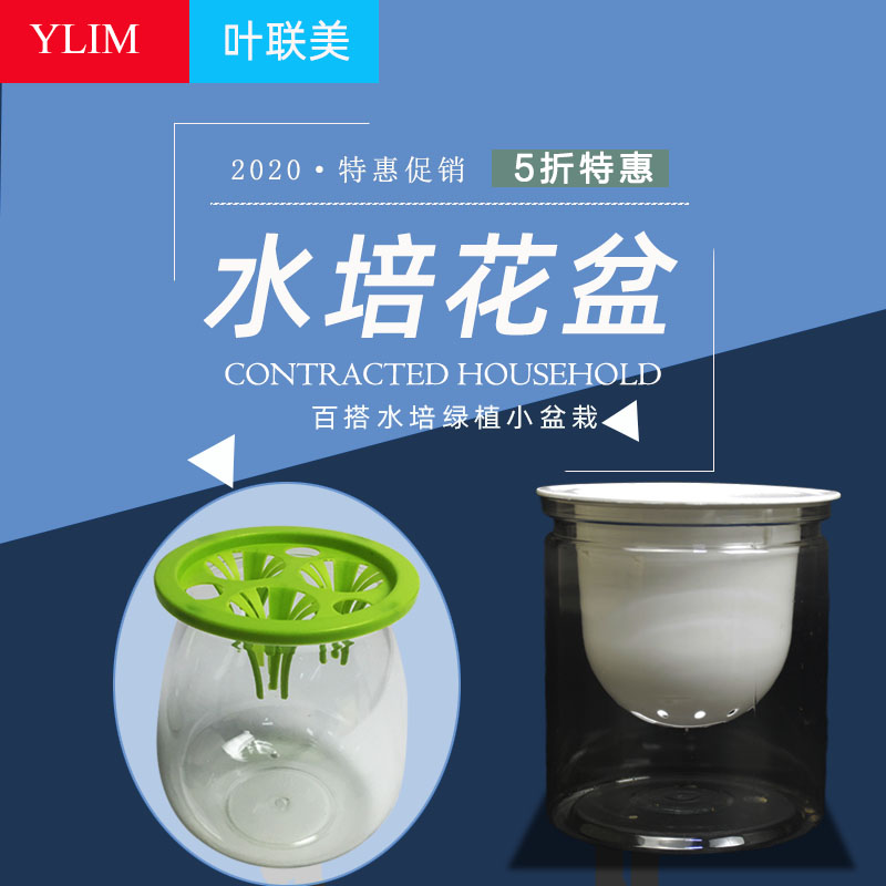 水培透明塑料花盆三孔绿萝虎皮兰富贵竹发财树铜钱草观音竹盆包邮