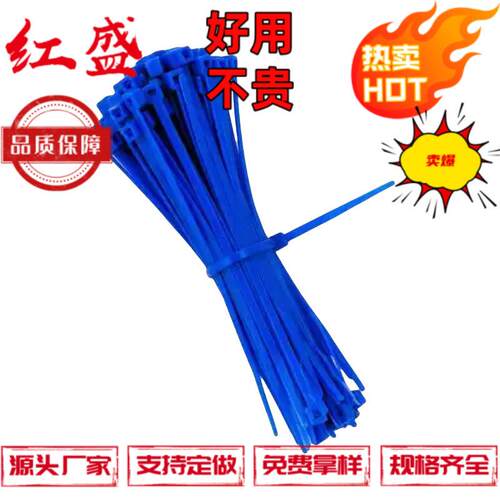 谱瑞蓝色耐高温耐化学性T18R-TZ 111-02446 防拆式扎带