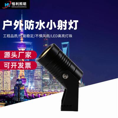 3WLED草坪灯 户外插地灯 庭院绿化景观射灯座地射灯广告牌COB射灯