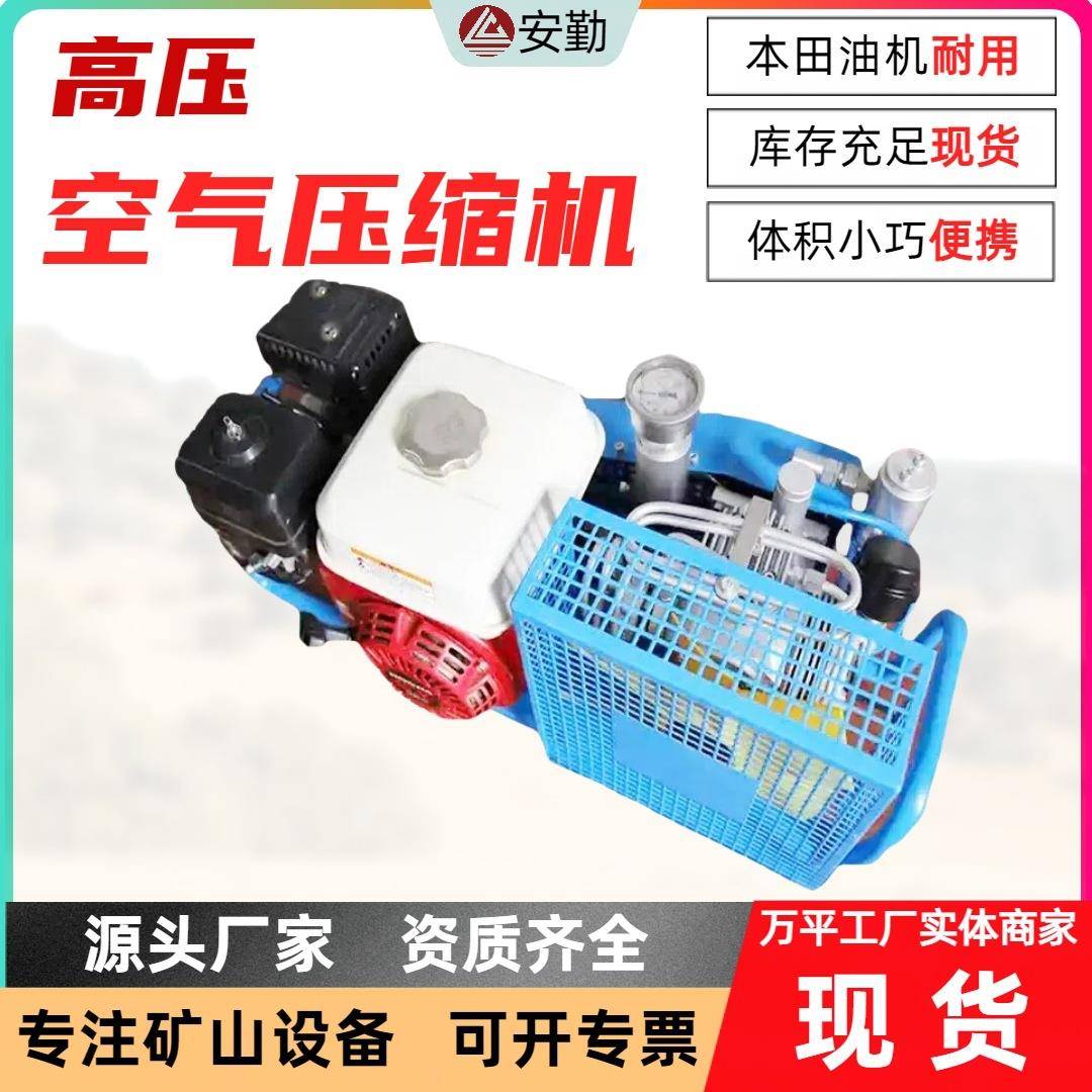 便携式经久耐用空气压缩机RZX100-G 便携式呼吸气瓶空压机