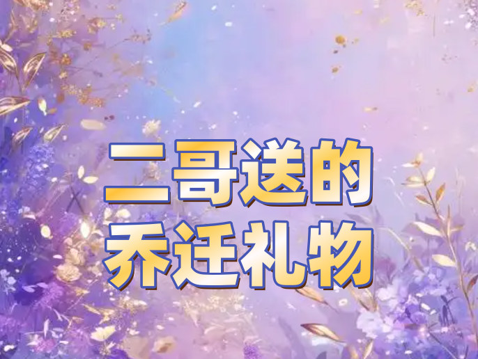 【六月粉丝专享】新款休闲舒适QLD-5768