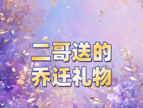 【六月粉丝专享】新款休闲舒适QLD-5768