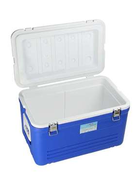 33LEPS保温箱冷藏箱 外卖户外烧烤旅游车载冰箱母乳肉类运输疫苗