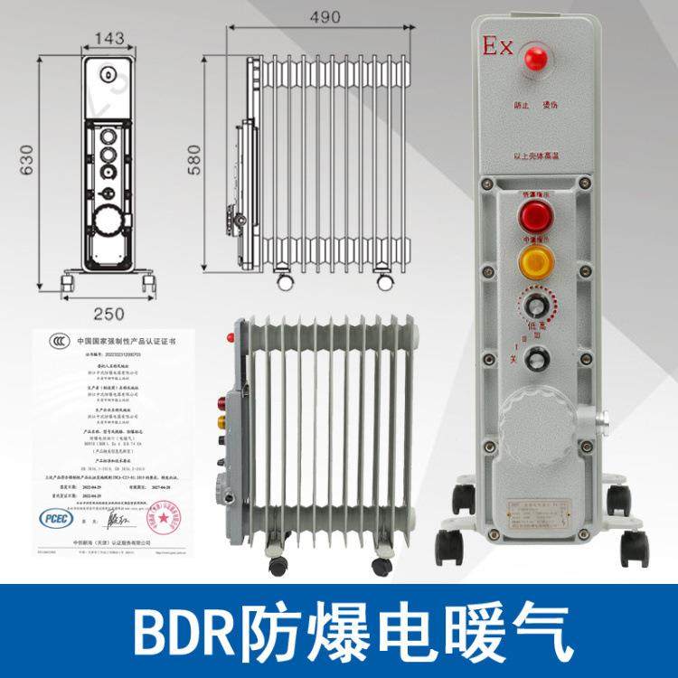 中沈防爆电热油汀BDR-2W防爆电暖气取暖器功率2000W11片电压220V,电子元器件市场,电机/马达,淘宝优惠券,粉丝福利购,淘宝优惠卷