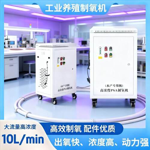 PSA制氧机污水处理厂高效增氧93±3%30L50L节能制氧机水体富营养