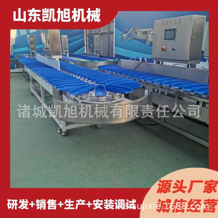 全自动海螺重量分选机黄花鱼捡重分级机海鲜鱼类重量分级设备,五金/工具,其他包装设备,淘宝优惠券,粉丝福利购,淘宝优惠卷