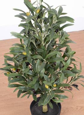 仿真橄榄树人造橄枝内装饰室造橄榄树假榄绿植仿真树盆景MC-78023