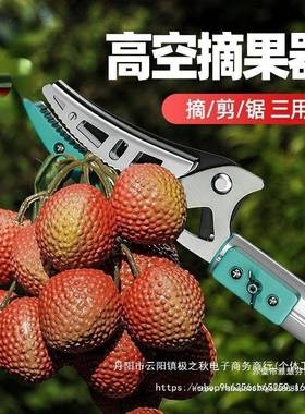 摘水果枇杷枝剪杨梅摘果伸缩器杆采摘高枝高LDN空修枝荔剪剪修枝