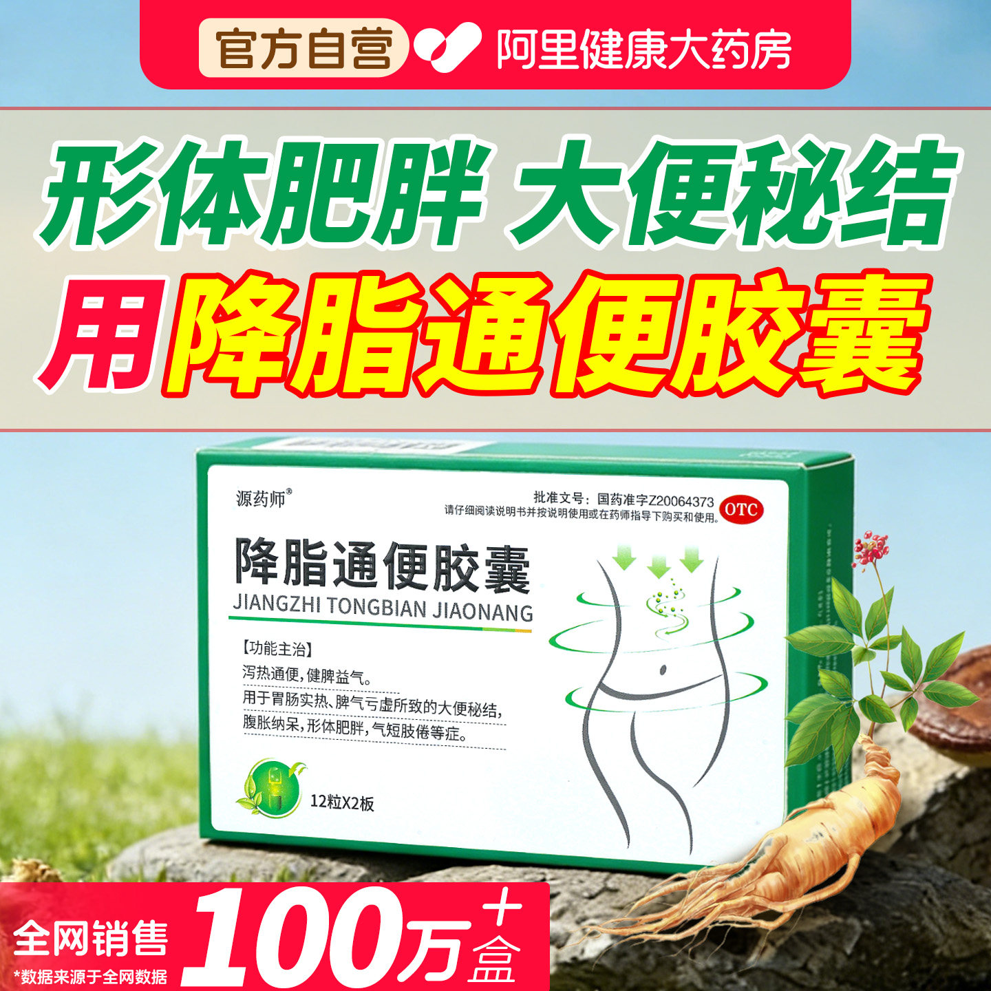 源药师降脂通便胶囊便秘健脾减肥减脂排油正品消化不良清脂用药