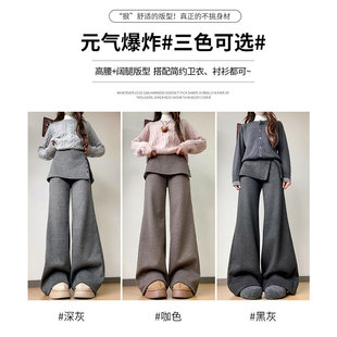 假两件屁帘裤女春秋2026新款小个子韩里韩气的裤子高腰垂感阔腿裤