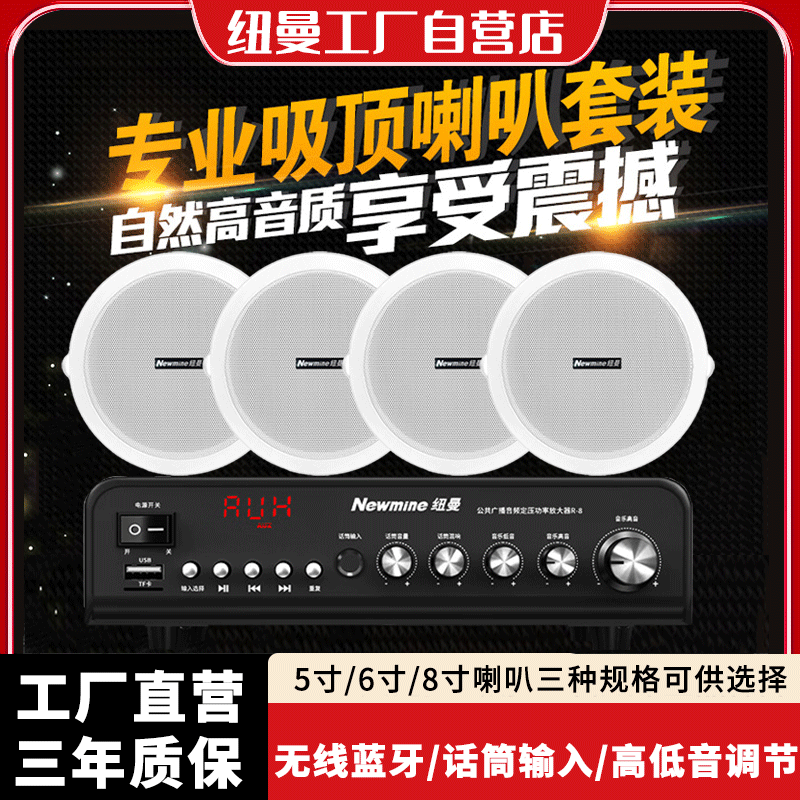 纽曼蓝牙嵌入式吸顶音响店铺专用
