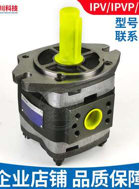 福伊特齿轮泵IPV/P3/4/5/6/7-8/13/32/40内啮合德国voith液压油泵