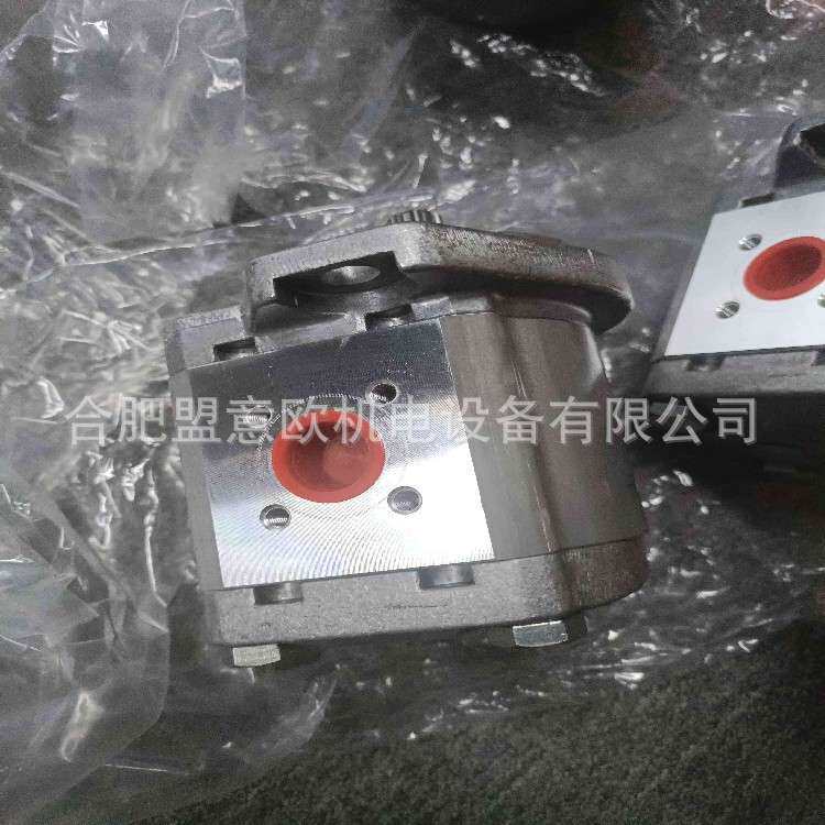 瑞典CONCENTRIC油泵，马达，齿轮泵，WP09A1B 1802135