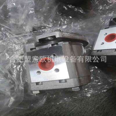 瑞典CONCENTRIC油泵，马达，齿轮泵，WP09A1B 1802135