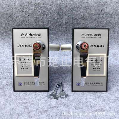 衢州申源户内高压电磁锁DSN-DMZ/DMY手柄式高压柜电门锁电控锁