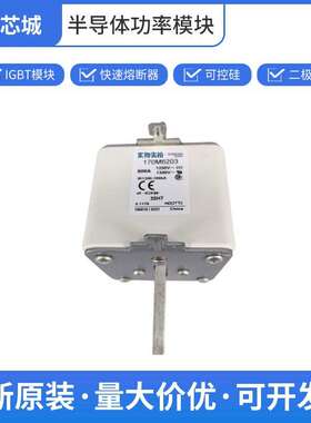 限流式熔断器  保险丝  170M6203 质量保证