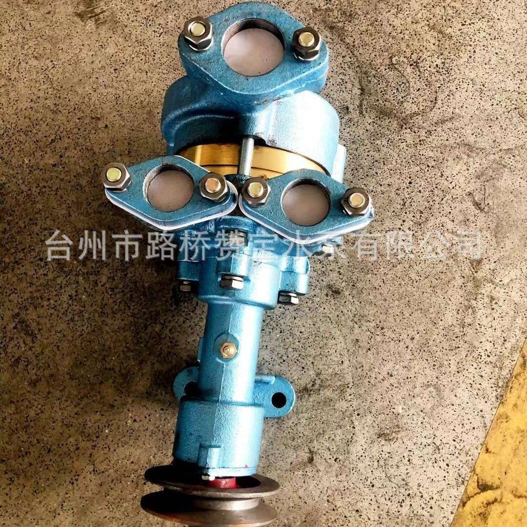 组合泵 海水泵船用水泵