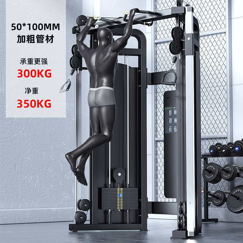 小飞鸟龙门架综合器械健身器材大全引体向上双臂机小飞鸟训练器