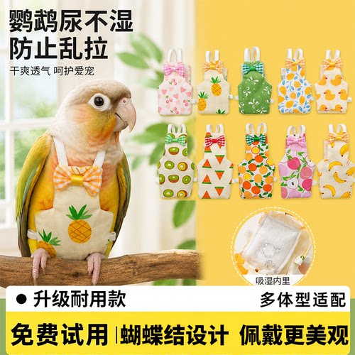 央妈力推【免费试穿】鹦鹉飞行服