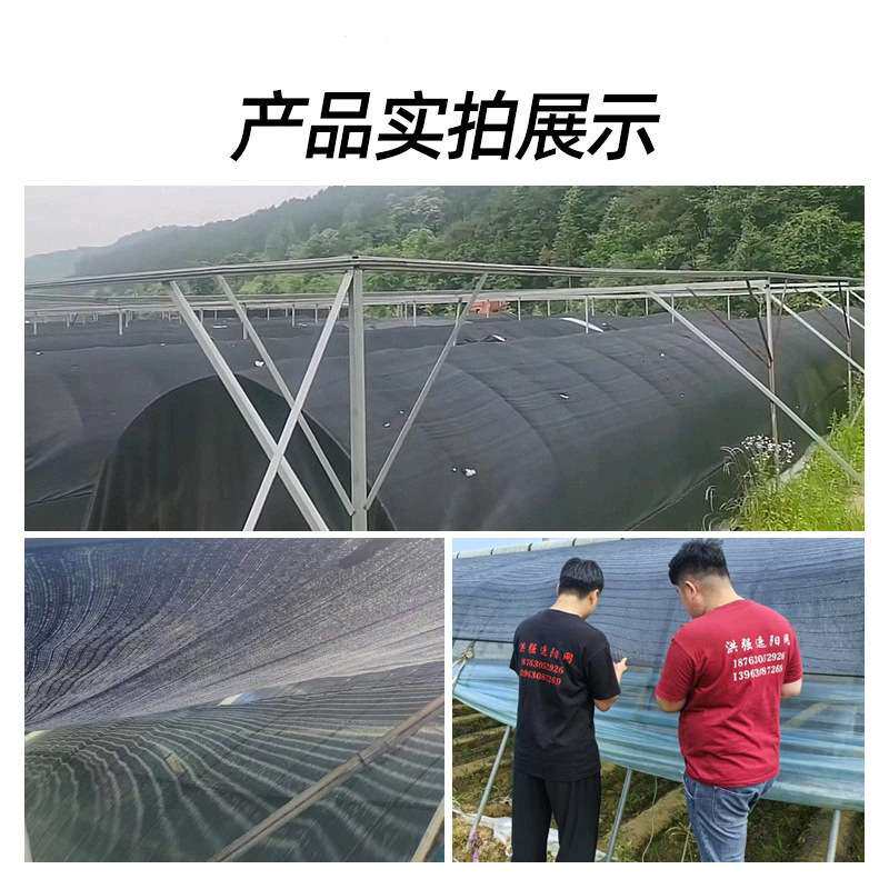 平织遮阳网 75%花卉育苗大棚遮阴隔热防晒网蔬菜农用平织遮阳网