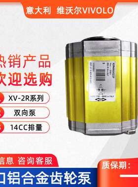VIVOIL铝合金齿轮泵X2R4922CZZF意大利维沃尔VIVOLO双向液压泵