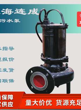 上海连成50WQ潜水排污泵污泥回流泵无堵塞潜水电泵带搅匀污水泵
