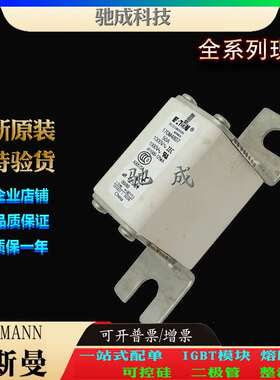 巴斯曼170M4807 170M4808 170M4809 现货直销 价优 低压熔断器