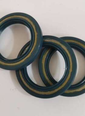 意大利高压柱塞泵配件HPP EL152/100 102/160122/130原装柱塞油封