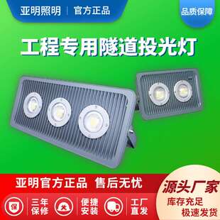 led防爆灯投光灯100w200w加油站工业220v30W低压12V24隧道灯