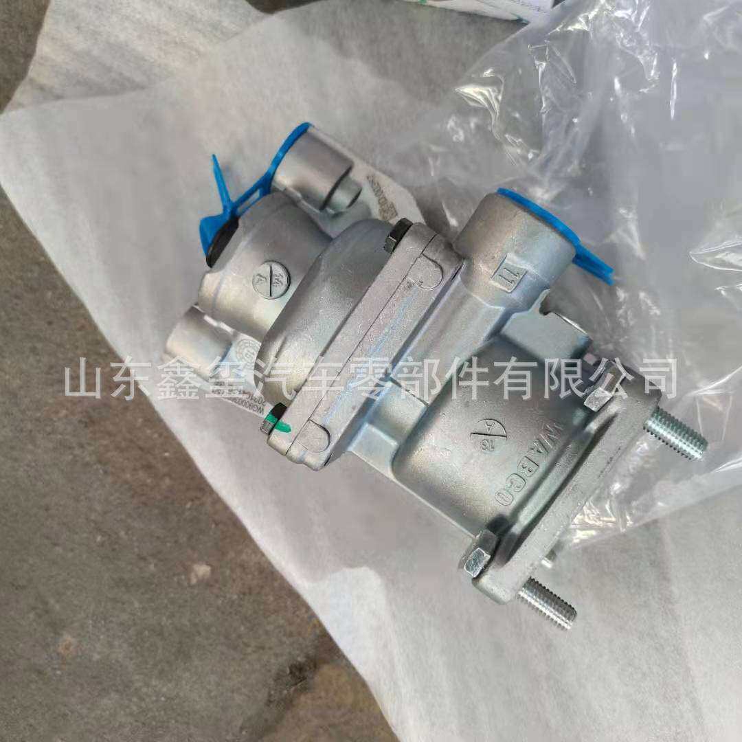 812W61150-0113 中国重汽汕德卡前面板亮条 重汽汕德卡全车配件